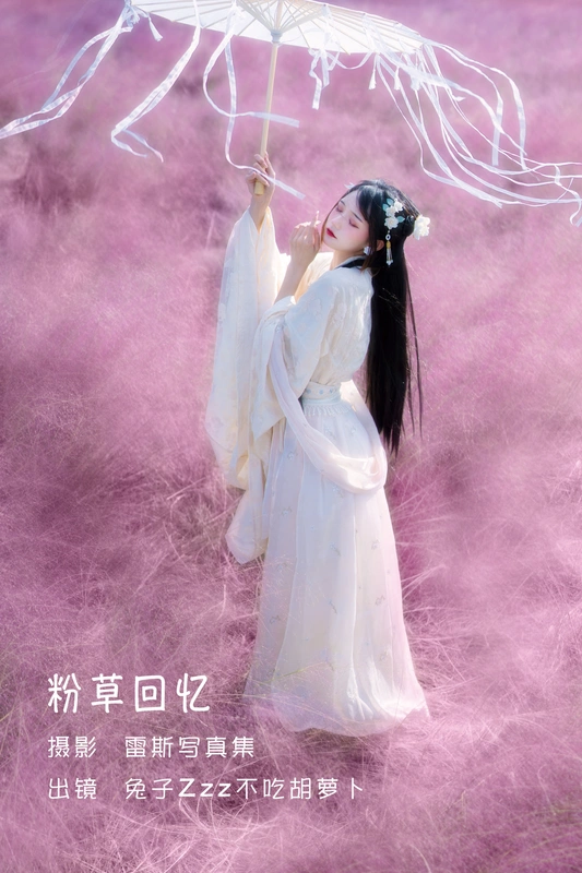 粉草回忆 - 兔子zzz不吃胡萝卜