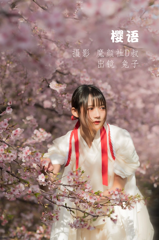 樱语 - 兔子zzz不吃胡萝卜