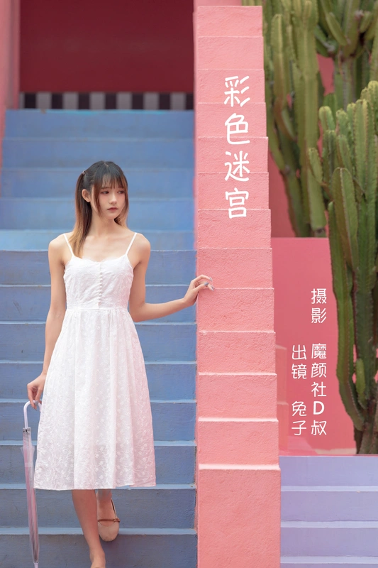 彩色迷宫 - 兔子zzz不吃胡萝卜