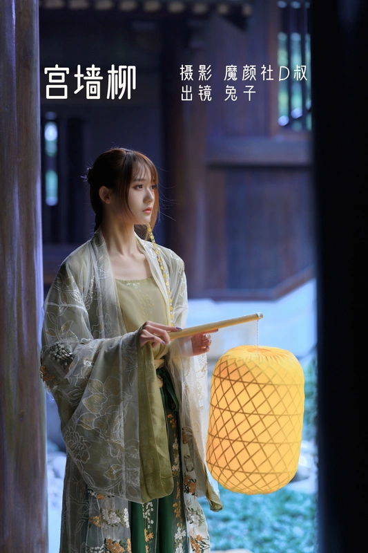 宫墙柳 - 兔子zzz不吃胡萝卜