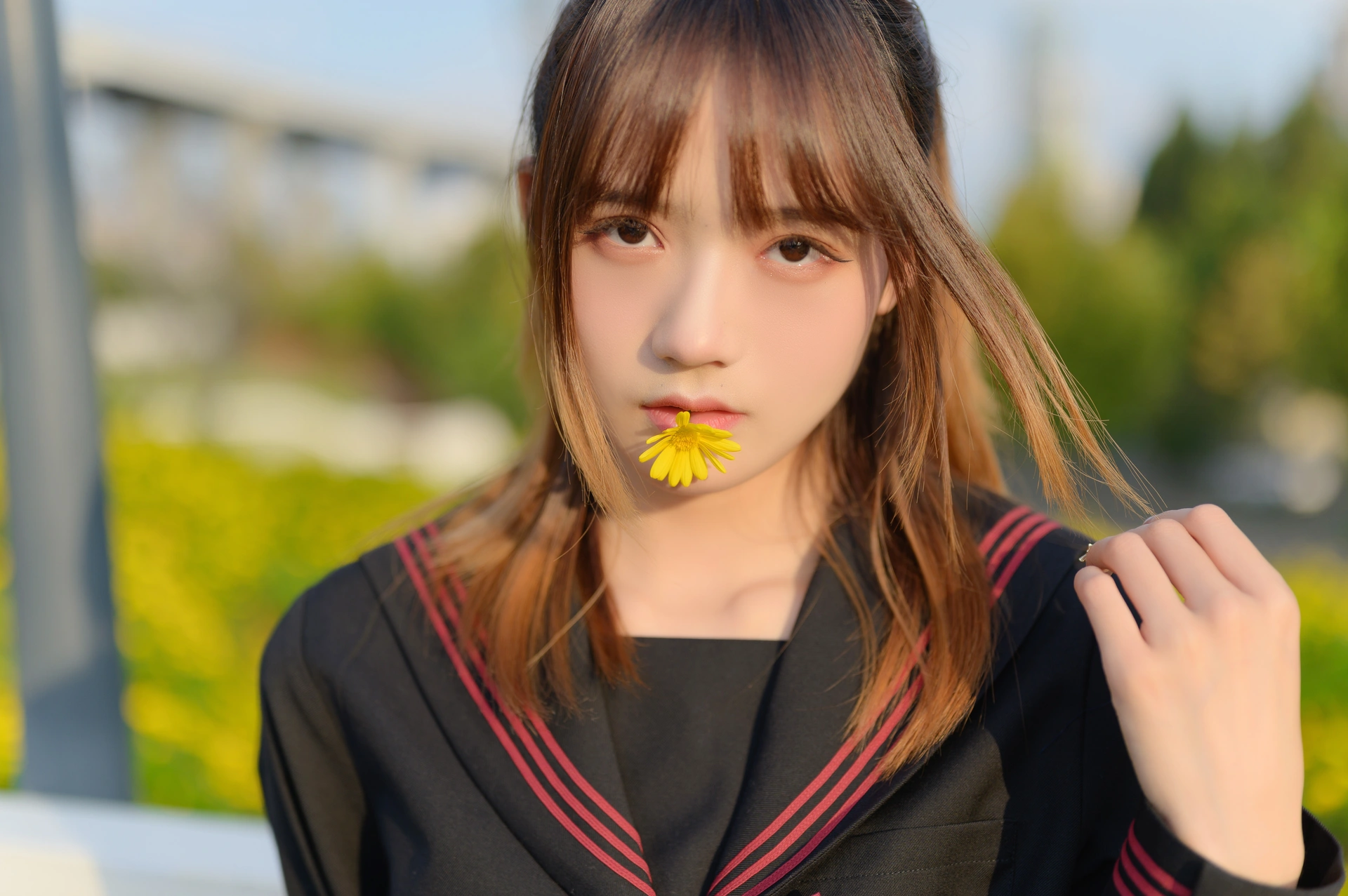 兔子Zzz不吃胡萝卜 - NO.82 小花 3